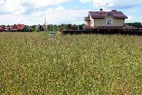Земельные участки Пятницкое шоссе Найдено 66 предложений по продаже земельных участков Пятницкое шоссе Перед вами перечень предложений по продаже домов и коттеджей в направлении Пятницкое шоссе