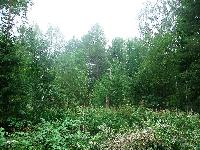 Живописный участок 25,59 сот, Ярославское ш., 27 км от МКАД