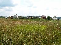 Продается участок  Новорижское Супонево /     Участок 12 соток  