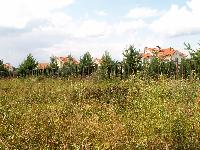 Продается участок  Новорижское Супонево /     Участок 12 соток  