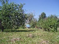 Продается  дом 75 кв.м., участок 9 сот. , Ярославское ш., 29 км. от МКАД. 