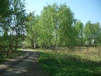 Продается  дом 70 кв.м., участок 8 сот. , Горьковское ш., 27 км. от МКАД. 