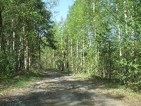 Продается  дом 70 кв.м., участок 8 сот. , Горьковское ш., 27 км. от МКАД. 