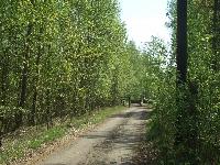 Продается  дом 70 кв.м., участок 8 сот. , Горьковское ш., 27 км. от МКАД. 