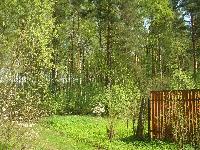 Продается  дом 70 кв.м., участок 8 сот. , Горьковское ш., 27 км. от МКАД. 