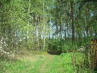 Продается  дом 70 кв.м., участок 8 сот. , Горьковское ш., 27 км. от МКАД. 