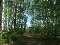 Продается  дом 70 кв.м., участок 8 сот. , Горьковское ш., 27 км. от МКАД. 