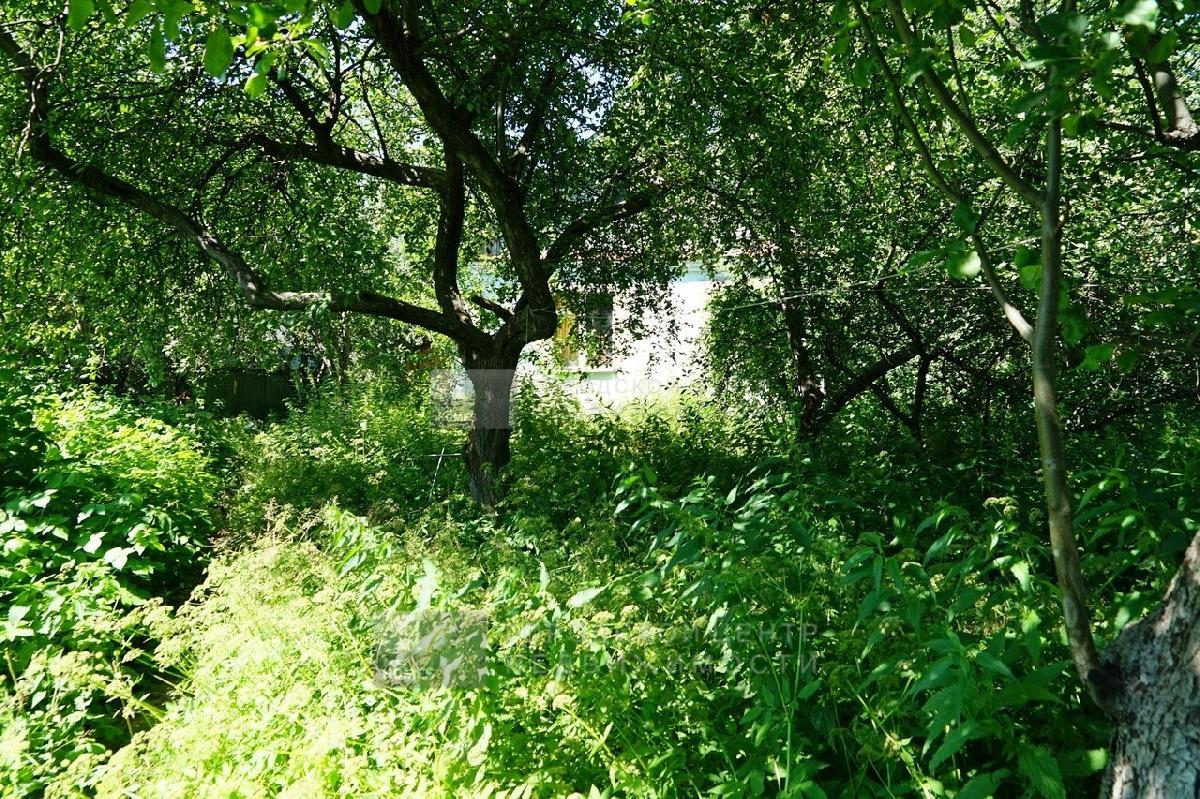 Никольско Архангельский Купить Участок