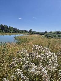 Участок 1.0  соток, Васьково д.