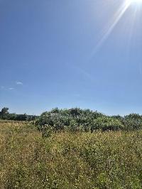 Участок 1.0  соток, Васьково д.