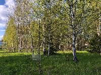 Участок 20.0  соток, Дмитров г.