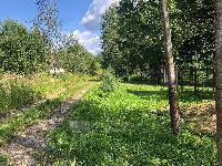 Участок 20.0  соток, Дмитров г.