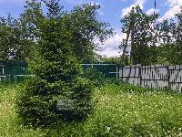 Дом 36.0  м2, Дружба снт