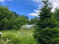 Дом 36.0  м2, Дружба снт