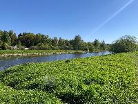 Участок 50.0  соток, Анискино с.