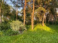 Дом 600.0  м2, Лосино-Петровский г.