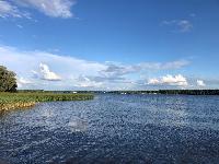 Участок 9.0  соток, Протасово д.