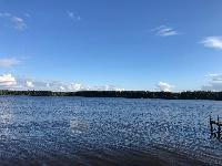 Участок 9.0  соток, Протасово д.