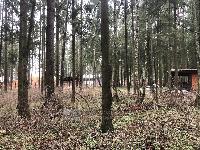 Участок 9.0  соток, Протасово д.