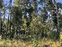 Участок 9.0  соток, Мытищи г.