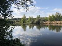 Участок 10.0  соток, Свердловский р.п.