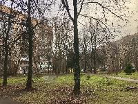 31.0  м2, Щелково г.