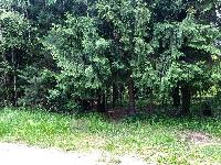 Дом 170.0  м2, Пружонка тер. СНТ