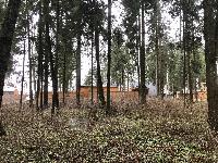 Дом 177.0  м2, Мытищи г.