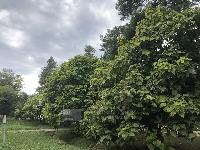 Дом 473.0  м2, Горячий Ключ г.