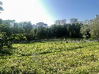 39.2  м2, Москва
