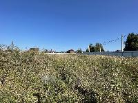 Участок 40.0  соток, Поддубье снт