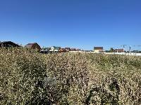 Участок 40.0  соток, Поддубье снт