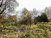 Участок 21.6  соток, Язвище с.