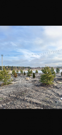 Участок 14.0  соток, Следово д.