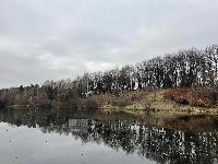 Участок 29.0  соток, Видное г.