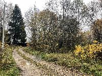 Участок 21.6  соток, Язвище с.