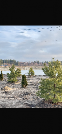 Участок 14.0  соток, Следово д.