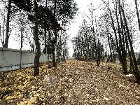 Участок 29.0  соток, Видное г.