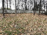 Участок 29.0  соток, Видное г.