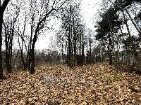 Участок 29.0  соток, Видное г.