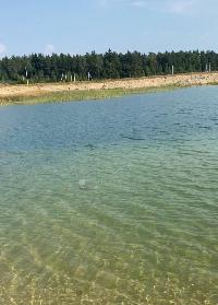 Участок 14.0  соток, Следово д.