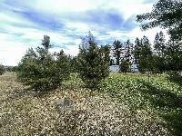 Участок 16.7  соток, Бережки д.