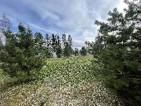 Участок 16.7  соток, Бережки д.