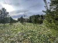 Участок 16.7  соток, Бережки д.