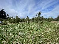 Участок 16.7  соток, Бережки д.