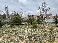 Участок 11.0  соток, Марусино д.