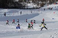 Дом 600.0  м2, Гаврилково д.