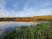 Дом 168.0  м2, Лесные Поляны снт