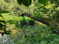 Дом 133.0  м2, Сходня мкр