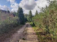 Участок 38.0  соток, Новогорск-1 снт